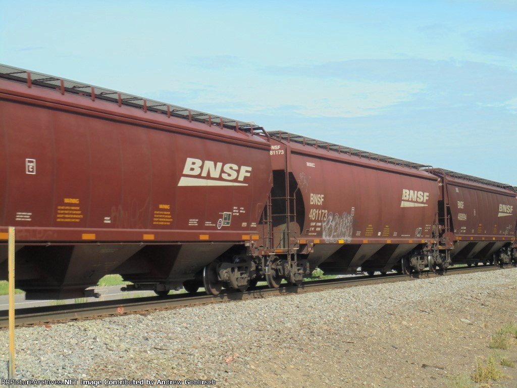 BNSF 481173 + 488994